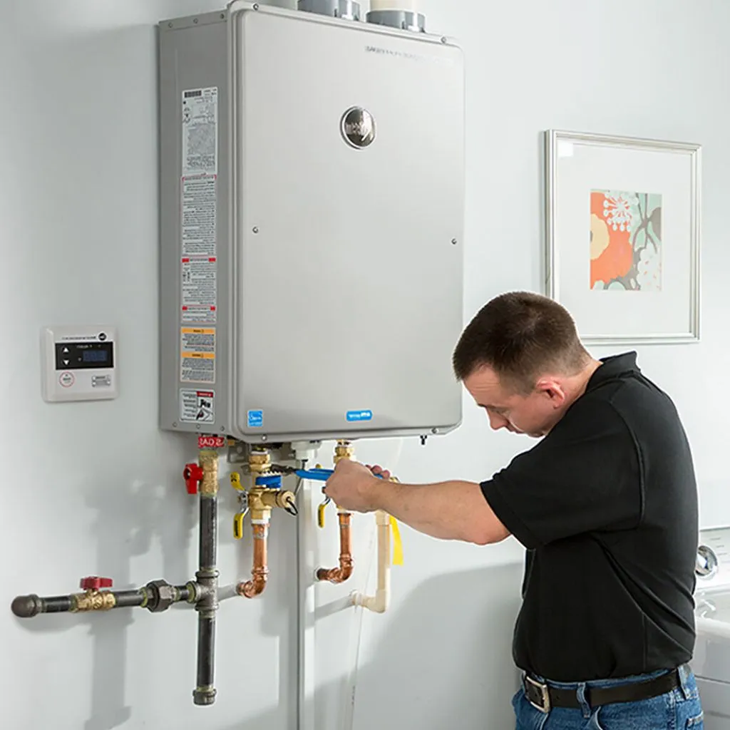 tankless water heater repair in Toledo, WA